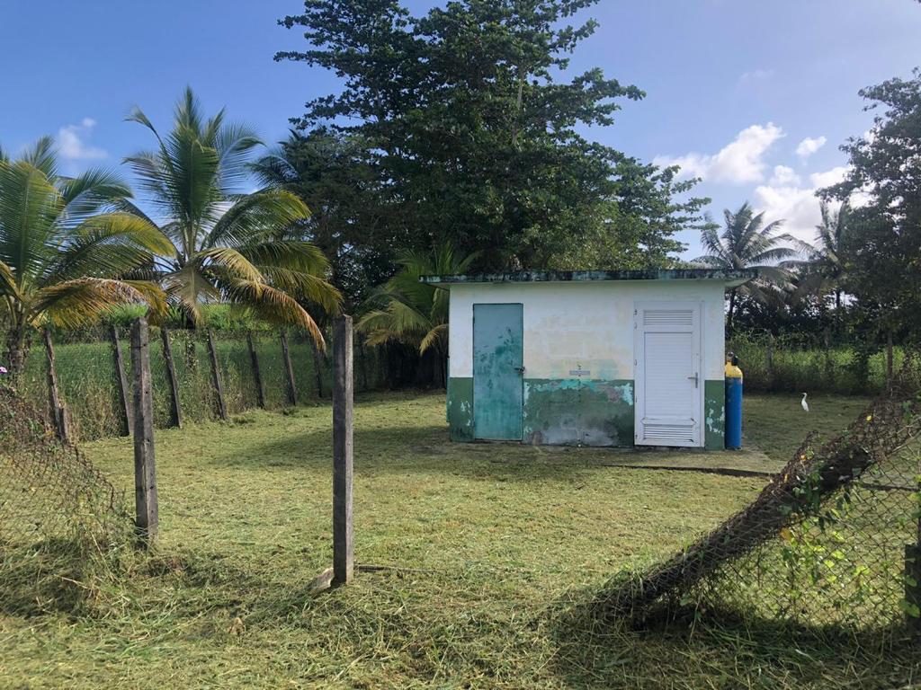 Débroussaillage de champs, jardin, et tonte de pelouse