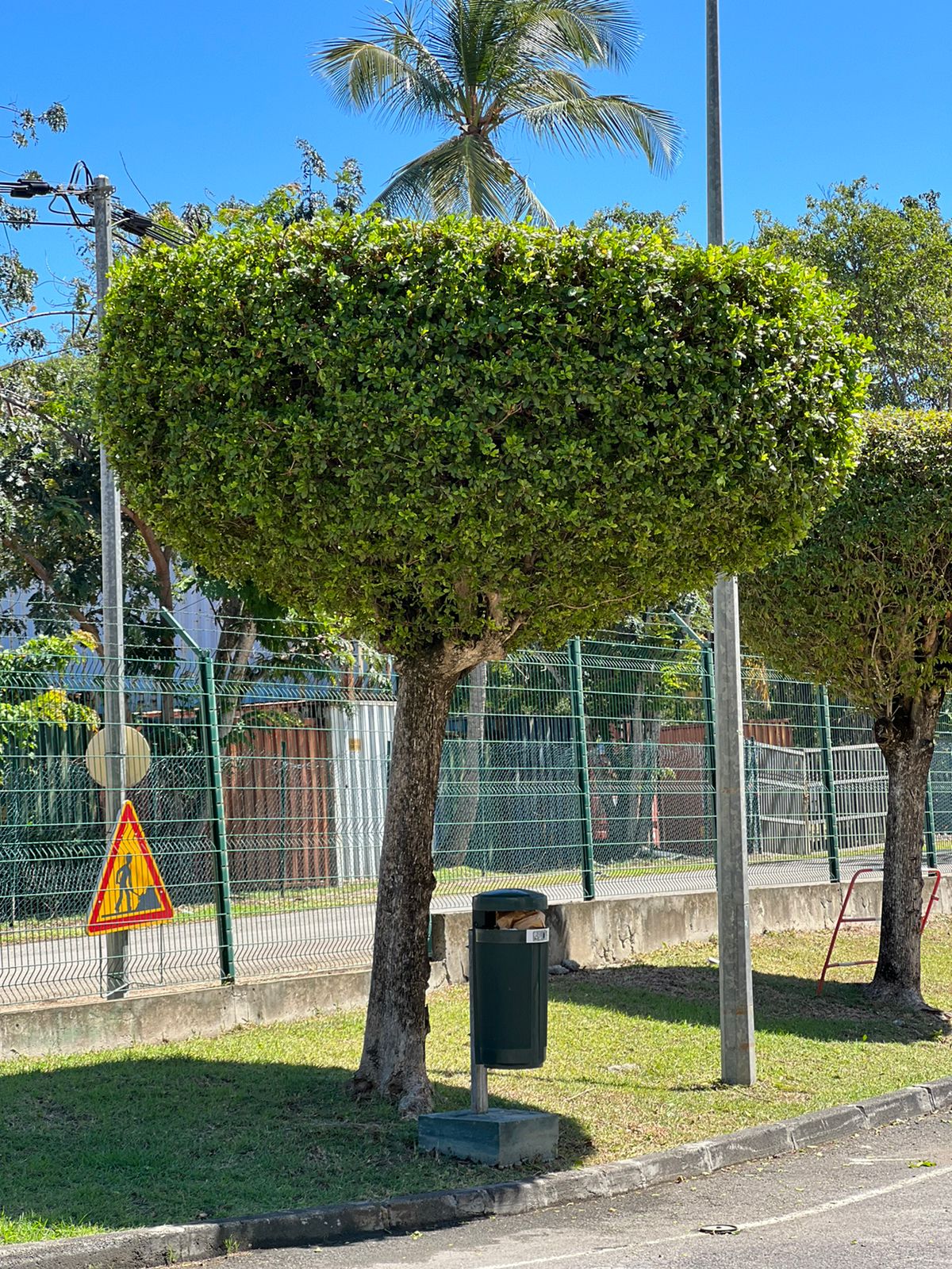 Élagages, abattage et taille d'arbre et haies
